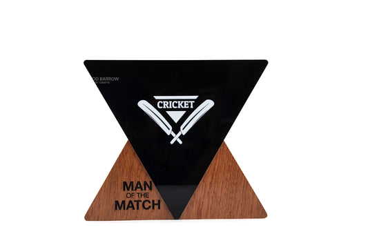 Wooden Trophy with Acrylic Accent