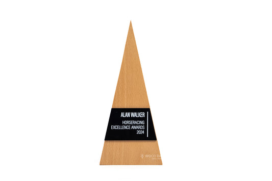 Triangular Wooden Trophy with Modern Flair